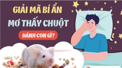 Mơ thấy chuột - giấc mơ báo hiệu con số độc đắc cho các lô thủ